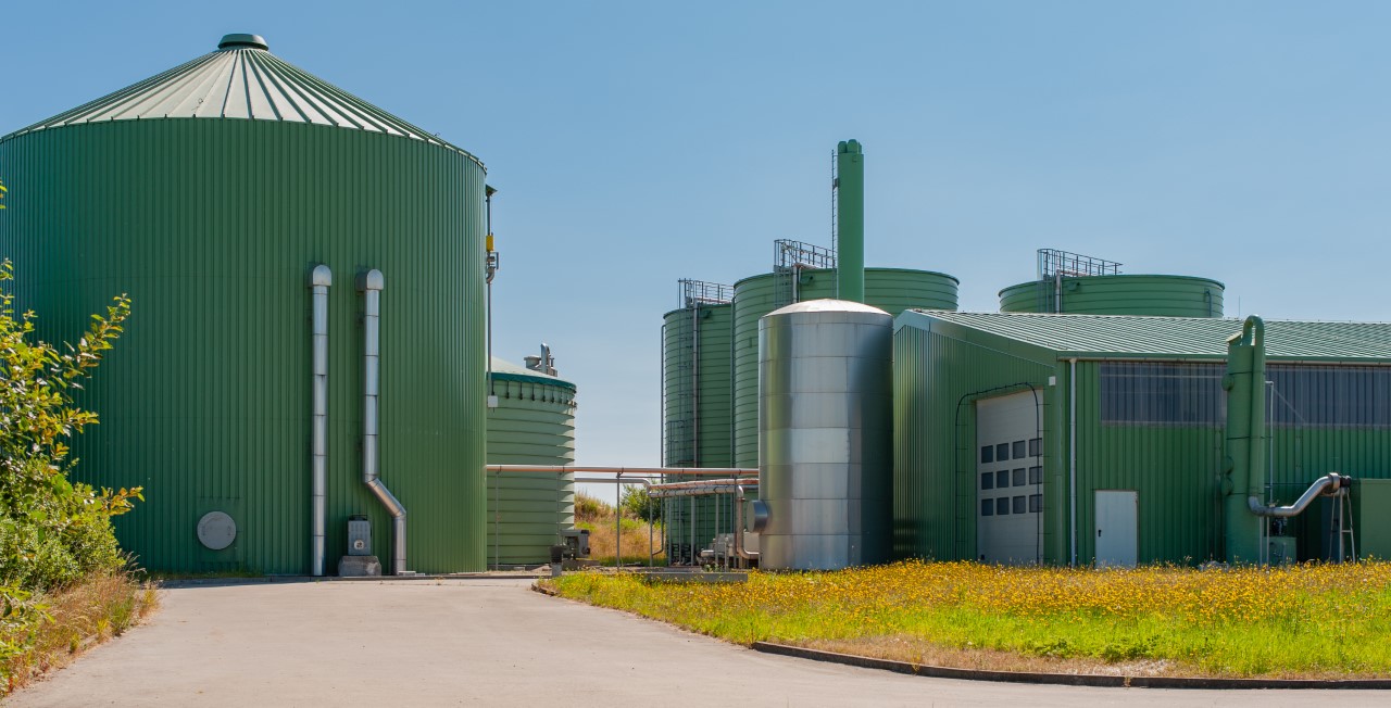 Conversione delle biomasse ed economia circolare