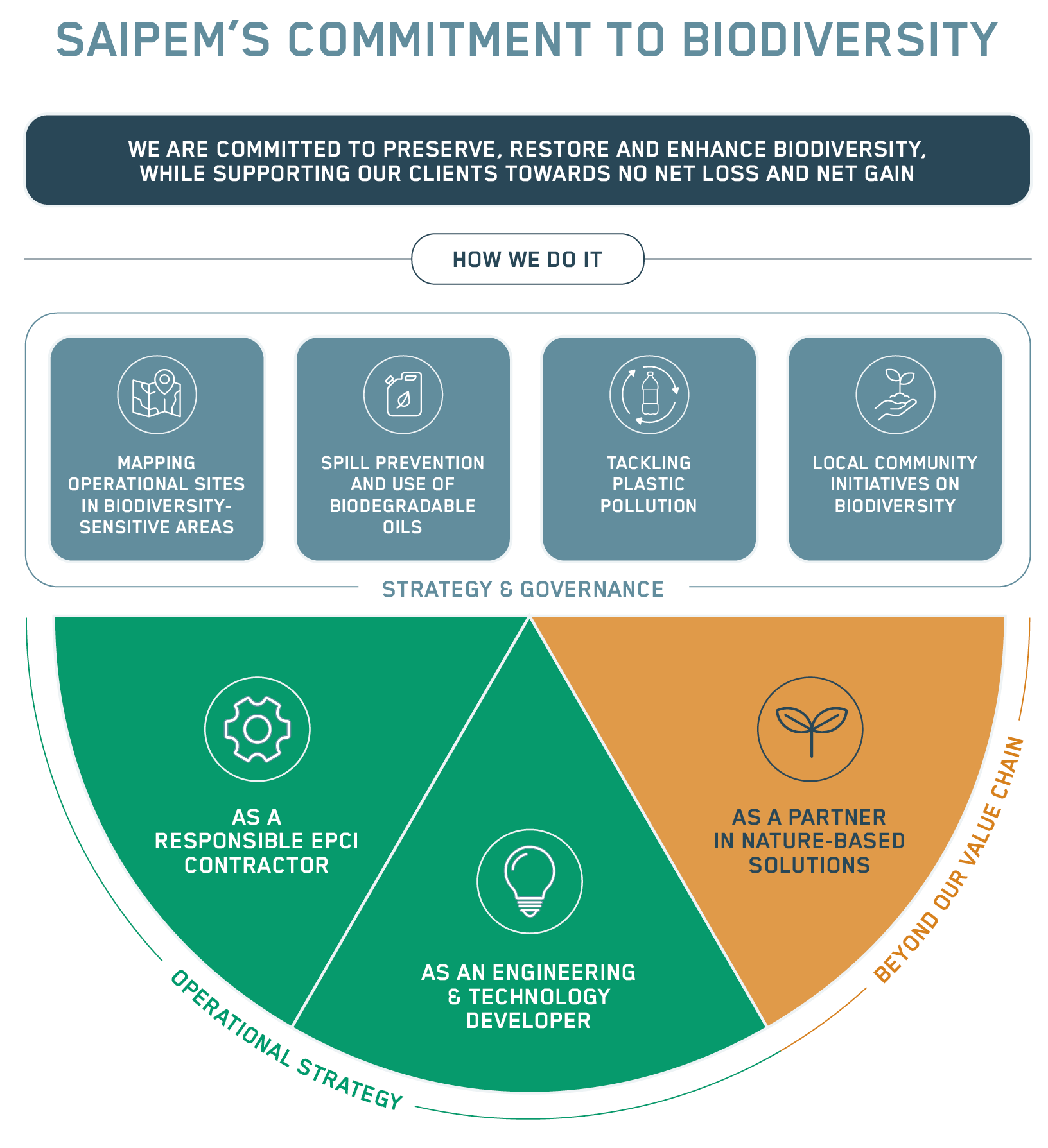 Biodiversity Infographic